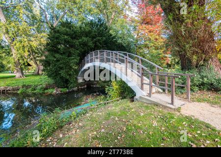 Ponte sul laghetto nel parco circondato da alberi verdi. Foto Stock