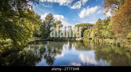 Paesaggio con riflessi di alberi e cielo nell'acqua. Foto Stock