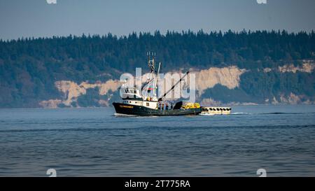 Una barca che naviga lungo un corpo d'acqua sullo sfondo di una lussureggiante foresta verde in una luminosa giornata di sole Foto Stock
