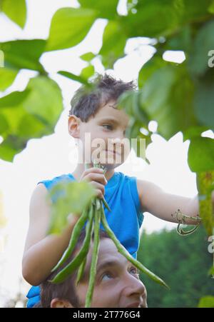 Ragazzo seduto sull'uomo spalle tenendo un sacco di fagioli runner Foto Stock