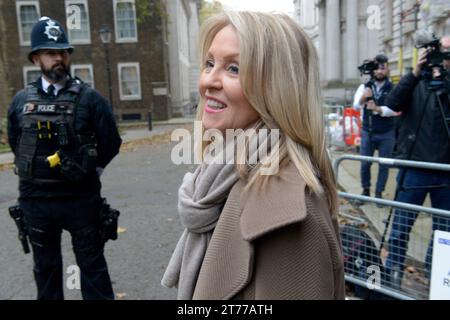 Londra, Regno Unito. 14 novembre 2023. Esther McVey arriva a Downing Street per una riunione del Gabinetto Credit: MARTIN DALTON/Alamy Live News Foto Stock