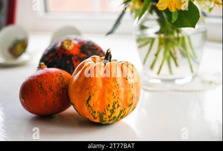 Collezione di piccole zucche e zucche per la natura morta autunnale Foto Stock