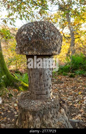 Money Tree con monete battute nella sua corteccia Dollar Glen, Dollar, Clackmannanshire, Scozia Foto Stock