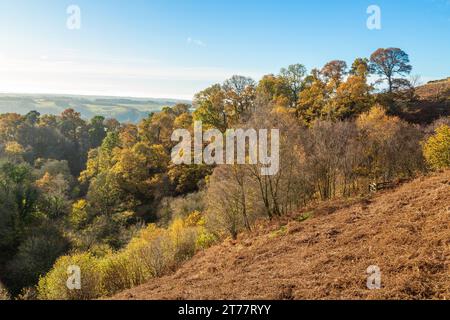 La splendida Dollar Glen nei vivaci colori autunnali, Dollar, Clackmannanshire, Scozia Foto Stock