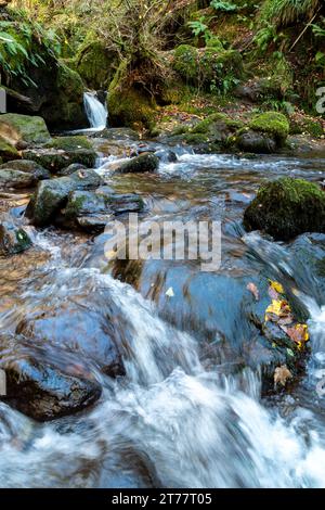 Dollar Burn in Dollar Glen, Dollar, Clackmannanshire, Scozia Foto Stock