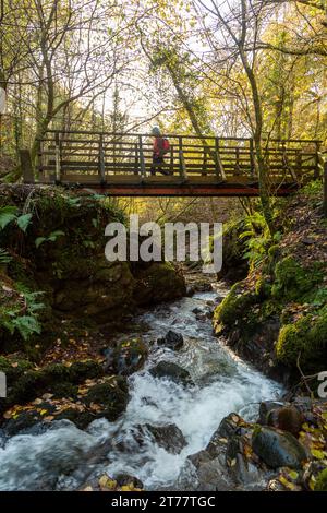 Dollar Burn in Dollar Glen, Dollar, Clackmannanshire, Scozia Foto Stock