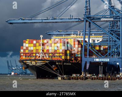 Commercio nel Regno Unito. MSC Diana arriva al porto di Felixstowe nel Regno Unito. Porto di Felixstowe Container Port. Foto Stock