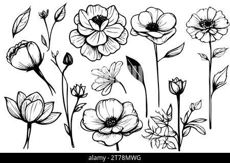 Collezione di fiori e piante disegnate a mano. Illustrazioni vettoriali monocromatiche in stile di schizzo. Elementi floreali isolati Illustrazione Vettoriale