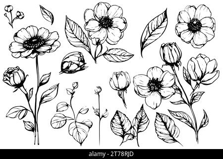 Collezione di fiori e piante disegnate a mano. Illustrazioni vettoriali monocromatiche in stile di schizzo. Elementi floreali isolati Illustrazione Vettoriale