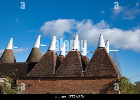 Tetto di una casa a Sissinghurst nel Kent in autunno. Foto Stock