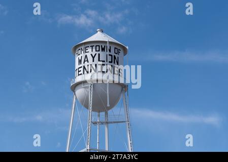 Alta e impressionante torre d'acqua si staglia contro un cielo blu, con le parole Hometown of Waylon Jennings on IT, Littlefield, Texas, Stati Uniti. Foto Stock