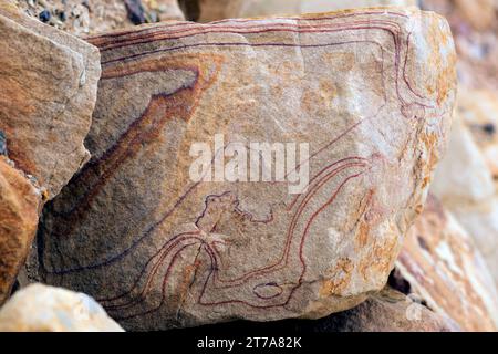 Arenaria colorata. L'arenaria è una roccia sedimentaria clastica composta da grani di quarzo. Questa foto è stata scattata nel Mar morto, in Giordania. Foto Stock