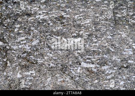 Il porfido di granito è una roccia ignea con bigs cristalli di feldspato. Questa foto è stata scattata a Sierra de Gredos; Avila; Castilla y León, Spagna. Foto Stock