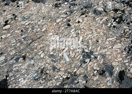 Il porfido di granito è una roccia ignea con bigs cristalli di feldspato. Questa foto è stata scattata a Sao Joao, Miranda do Douro, Portogallo. Foto Stock