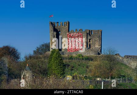 I papaveri rossi cadono lungo il castello di Dudley in uno speciale spettacolo Remembrance Day. Dudley, West Midlands, Inghilterra, Regno Unito Foto Stock