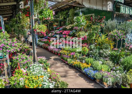 Parigi, Francia - 6 aprile 2019: Molti negozi e turisti al mercato dei fiori aux Fleurs Reine Elizabeth II Foto Stock