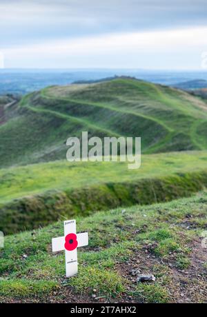 L'11 novembre, il giorno dell'armistizio, un tributo commemorativo, il simbolo del papavero rosso, posto nel suolo in cima all'antico Hill Fort, da un anonimo camminatore di collina, il so Foto Stock