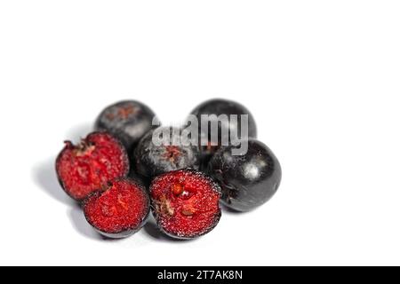 Bacche di Aronia isolate su sfondo bianco Foto Stock