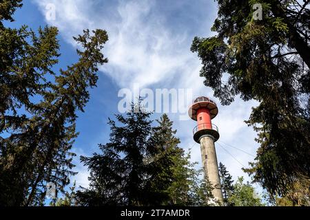 Spettacolare faro di Juminda nella foresta alla fine di una penisola di Juminda nella contea di Harju in una soleggiata giornata estiva, Mar Baltico, Estonia Foto Stock