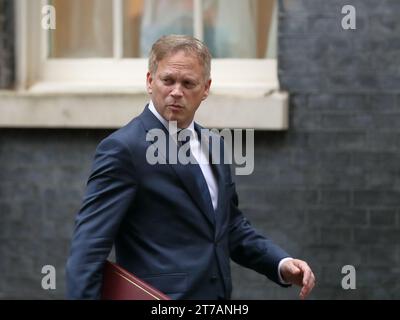 Londra, Regno Unito, 14 novembre 2023. Grant Shapps, Segretario di Stato per la difesa, parte dopo la riunione del Gabinetto. Crediti: Uwe Deffner/Alamy Live News Foto Stock