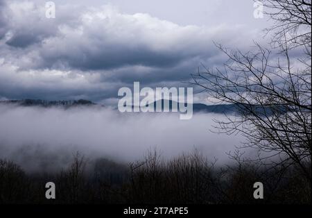 Riva nebbia che si insinua nella valle nella rurale Carolina del Nord. Blue Ridge Mountains sullo sfondo. Foto Stock