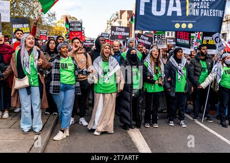 I giovani musulmani britannici arrabbiati chiedono un cessate il fuoco a Gaza e che Israele ponga fine ai bombardamenti di Gaza in occasione dell'evento March for Palestine, Londra, Regno Unito Foto Stock