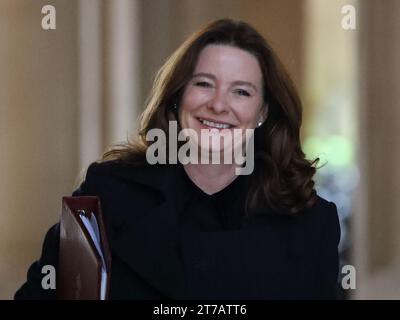 Londra, Regno Unito. 14 novembre 2023. Gillian Keegan, Segretario di Stato per l'istruzione, arriva per la riunione del Gabinetto. Crediti: Uwe Deffner/Alamy Live News Foto Stock