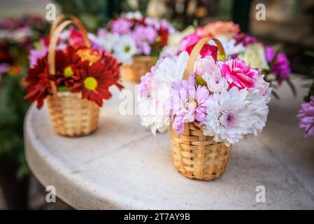 Crisantemi, talvolta chiamato mamme o chrysanths, sono piante fiorite del genere crisantemo nella famiglia Asteraceae. Foto Stock
