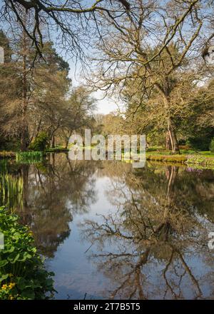 Vista dei laghi e delle piante dei giardini d'acqua di Longstock, Stockbridge, Hampshire, Inghilterra, Regno Unito in una brillante giornata primaverile. Foto Stock