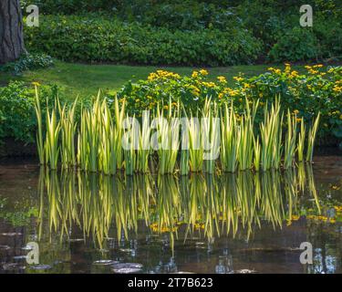 Vista dei laghi e delle piante dei giardini d'acqua di Longstock, Stockbridge, Hampshire, Inghilterra, Regno Unito in una brillante giornata primaverile. Foto Stock