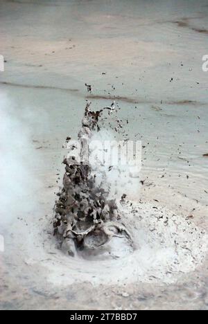 Primo piano della piscina di fango bollente, Wai-o-Tapu Thermal Wonderland, Rotorua, nuova Zelanda Foto Stock