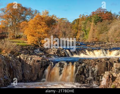 Una vista autunnale presso la cascata Low Force vicino a Bowlees nella parte superiore di Teesdale, nella contea di Durham Foto Stock