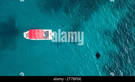 Vista aerea di uno snorkeling che nuota nell'oceano con una Manta Ray, Indonesia Foto Stock