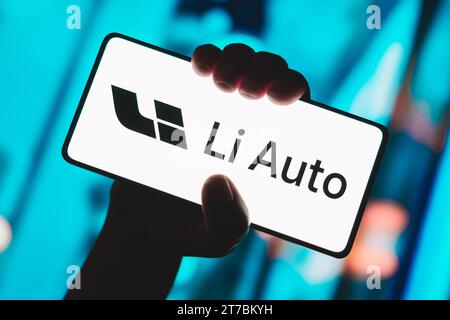 In questa immagine, il logo li Auto viene visualizzato sullo schermo dello smartphone. Foto Stock