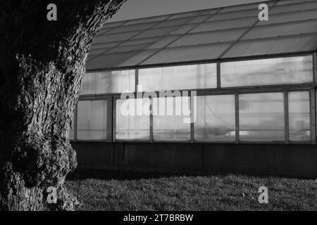 Plant Science Greenhouse nel campus della Michigan State University, East Lansing Michigan USA Foto Stock