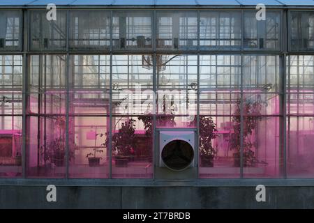 Plant Science Greenhouse, con piante visibili all'interno, nel campus della Michigan State University, East Lansing Michigan USA Foto Stock