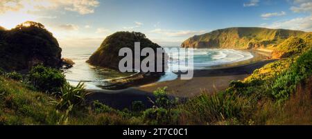 O'Neill Bay da te Henga Walkway, Bethells Beach, a ovest di Auckland, sull'Isola del Nord della nuova Zelanda. Foto Stock