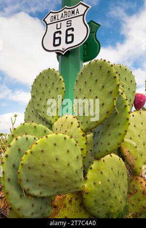 Cartello, cartello, semaforo, cactus, Route 66, Oklahoma, USA Foto Stock