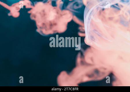 Schermo nero fumé bianco rosa Foto Stock