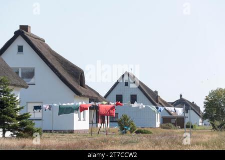 Lavanderia che soffia nel vento, casa di paglia, Neuendorf, isola di Hiddensee, Meclemburgo-Pomerania occidentale, Germania Foto Stock