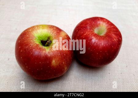 Vista di due mele rosse posizionate su un tappetino in tessuto granuloso bianco Foto Stock