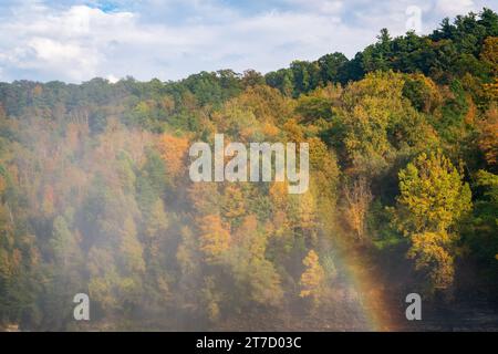 "Grand Canyon of the East", Letchworth State Park nello stato di New York Foto Stock