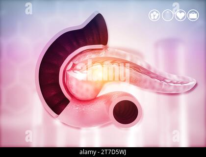 Anatomia del pancreas su sfondo medico. illustrazione 3d. Foto Stock