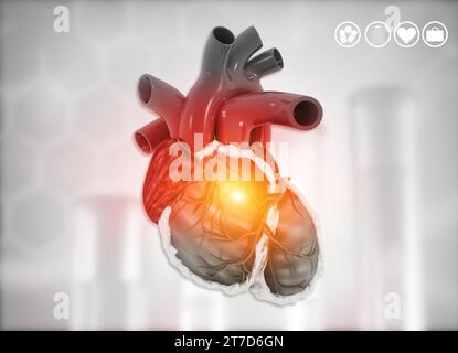Anatomia del cuore umano su sfondo medico. rendering 3d. Foto Stock