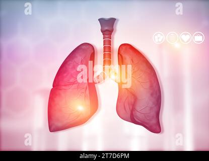 Anatomia dei polmoni umani. rendering 3d. Foto Stock