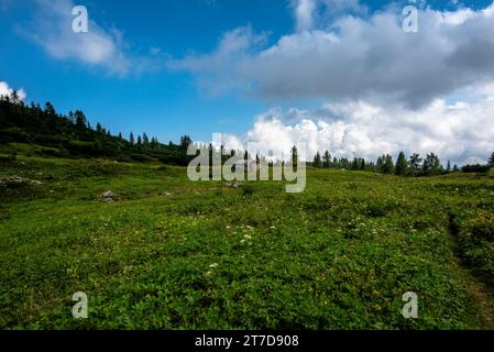Rifugio alpino sul Monte Ortigara, teatro della prima Guerra Mondiale, tra prati verdi e prati all'aperto sull'atipico altopiano di Asiago Vicenza Veneto Foto Stock