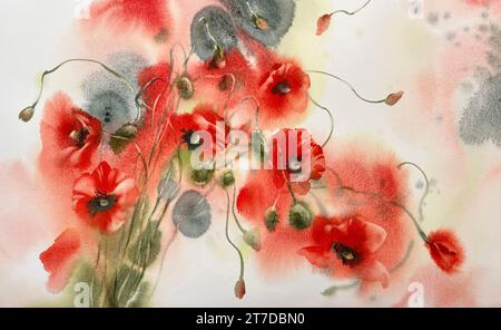 Fiori di papavero rossi sfondo acquerello. Illustrazione di San Valentino Foto Stock