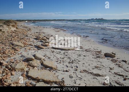 Mallorca, Spagna - 1 novembre 2023: Spiaggia Platja d'es Trenc Foto Stock