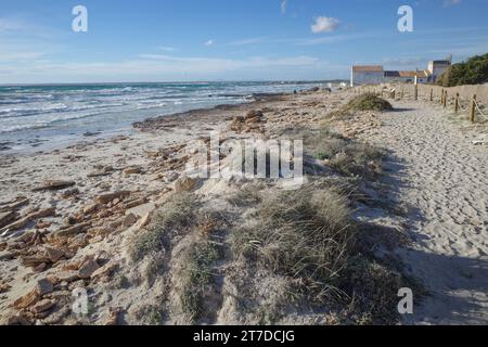 Mallorca, Spagna - 1 novembre 2023: Spiaggia Platja d'es Trenc Foto Stock