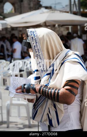 Un ebreo che indossa uno scialle da preghiera e tefillin phylacteries prega il servizio mattutino tenendo un siddur presso il muro Occidentale di Gerusalemme. Foto Stock